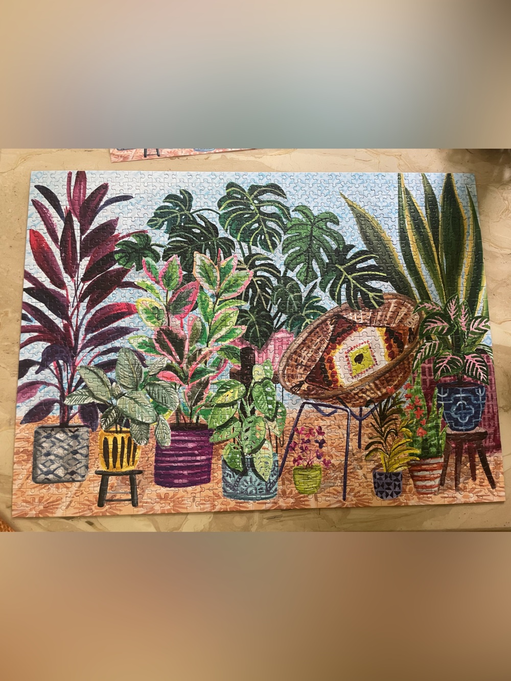 Solarium - 1000 piece puzzle by Werkshoppe - Picture 2 of 5